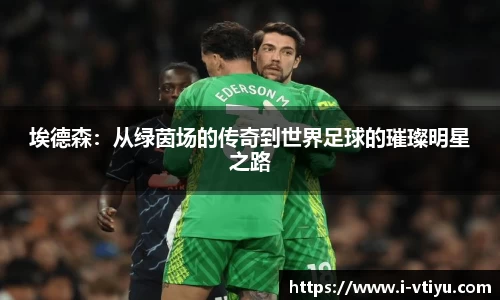 v体育官方网站
